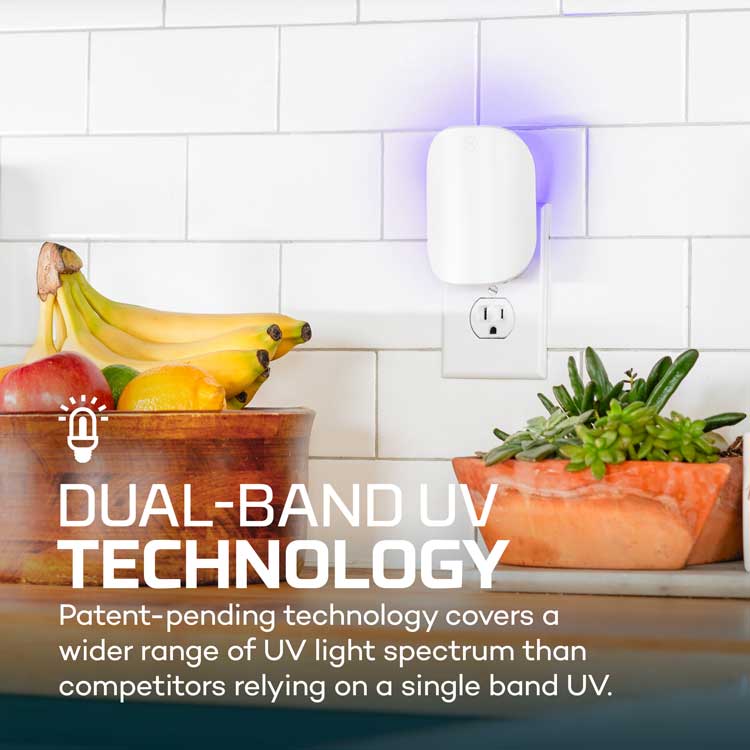 YardGuard™ Indoor Fly Trap System