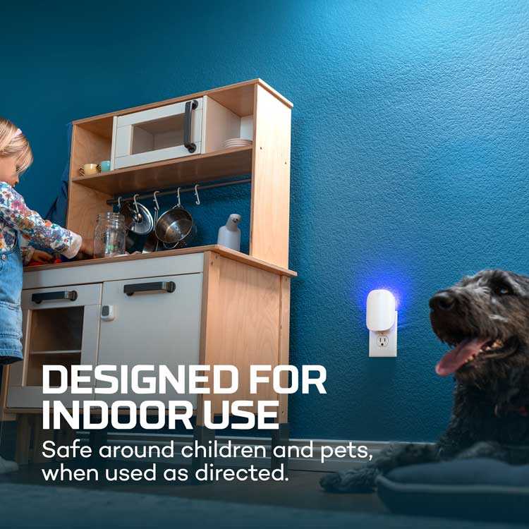 YardGuard™ Indoor Fly Trap System