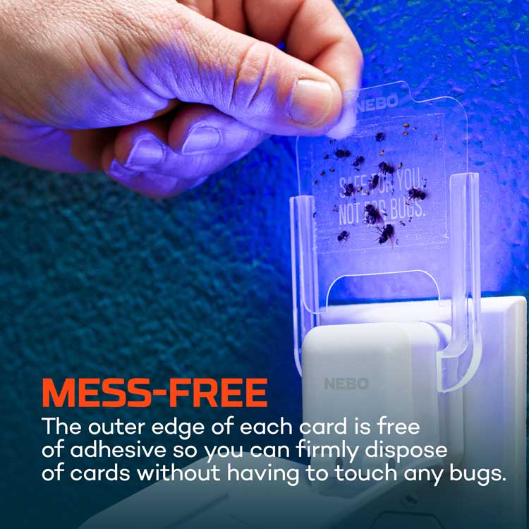 YardGuard™ Indoor Fly Trap System
